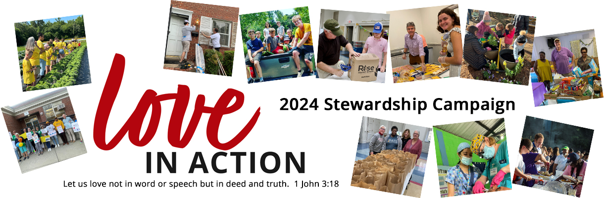 Love in Action | 2024 Stewardship Campaign