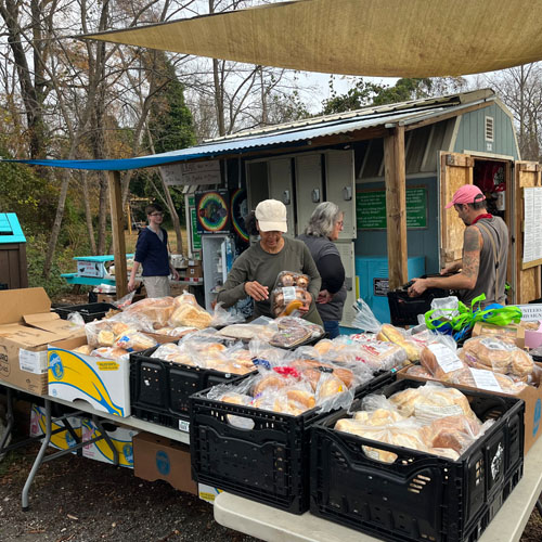 Fonticello Food Forest