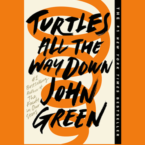 Turtles All the Way Down 500x500